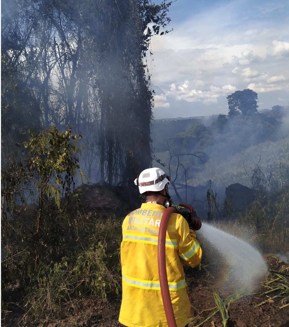 Incêndio destrói 35 hectares de vegetação na linha Salto Saudades em