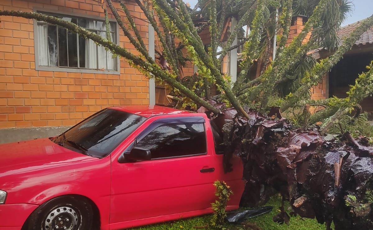 Gr Vida Fica Presa Ap S Arauc Ria Despencar Sobre Casa Em Sc Not Cias