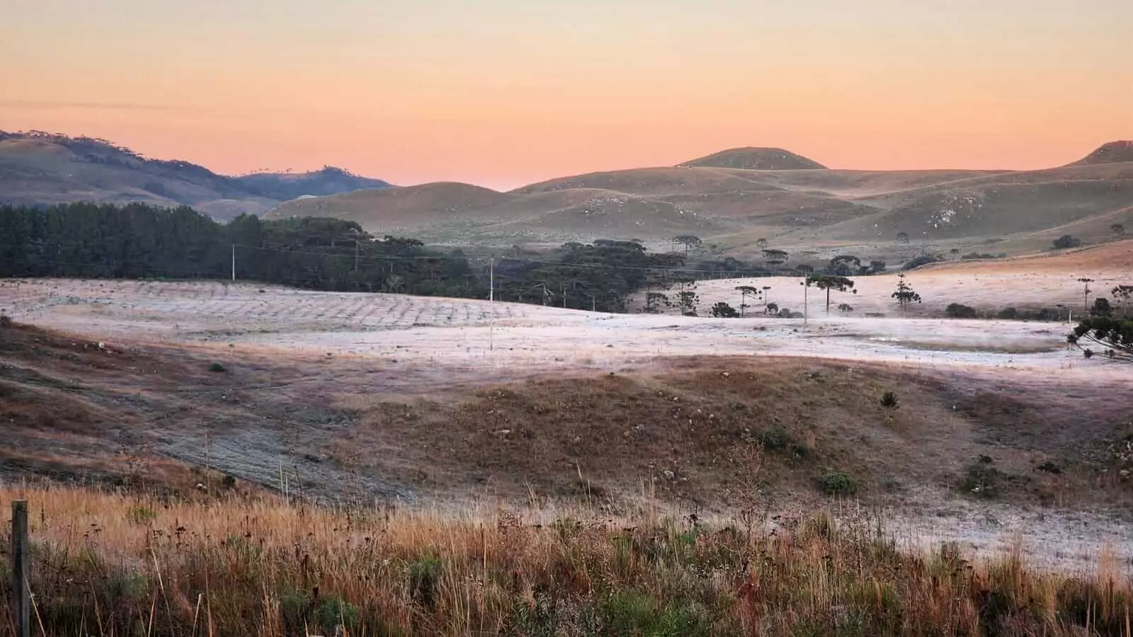 Serra De Sc Amanhece Campos Cobertos Por Geada E Temperaturas