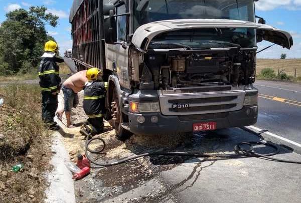 Corpo de Bombeiros atende princípio de incêndio na BR 282