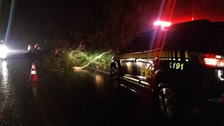 Queda de barreira interdita BR-282 em Nova Itaberaba