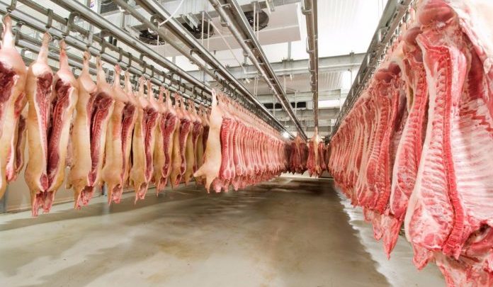 Rússia reabre o mercado para carne suína do Brasil e SC comemora