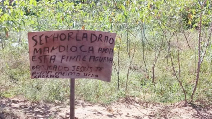 Homem deixa recado após ter mandiocas furtadas: ‘Jesus te ama, mesmo sendo ladrão’