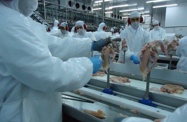 Santa Catarina mantém crescimento nas exportações de carnes em 2019