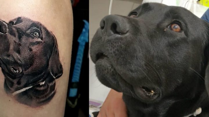 Soldado homenageia cão-bombeiro Barney com tatuagem: ‘Quando coração transborda, transparece na pele’