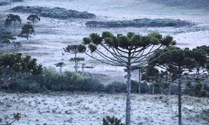 Frente fria favorece tempo instável com queda brusca da temperatura em SC