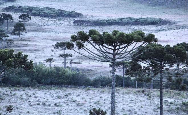 Defesa Civil alerta para frio extremo para Santa Catarina nos próximos dias