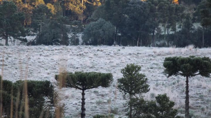 Frio perde força no decorrer da semana em SC