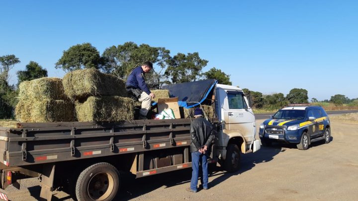 PRF apreende agrotóxico escondido embaixo de carga de feno em Concórdia