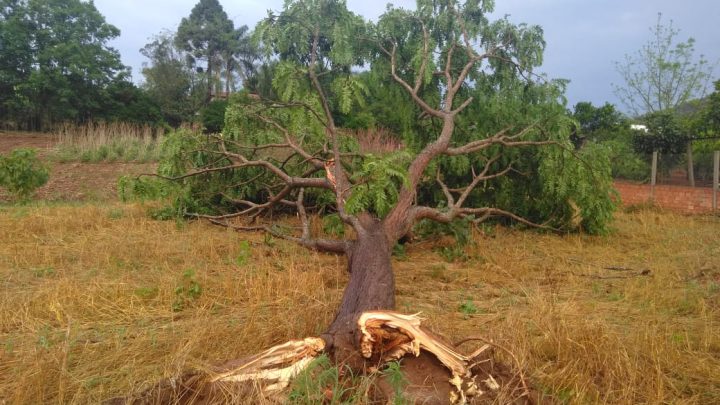 Vendaval atinge cidade de União do Oeste em SC