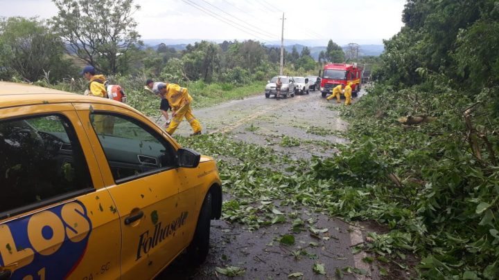 Árvores caem em cima de veículo na SC-283 em Seara