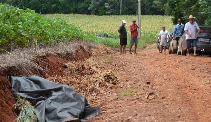 Agricultor morre após ser picado por enxame de abelhas no RS