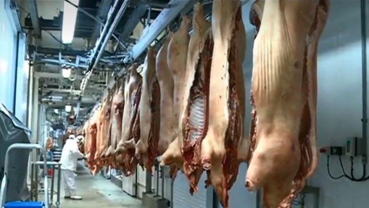 Exportação de carne suína em SC cresce 14,3% em 2019 e bate recorde histórico