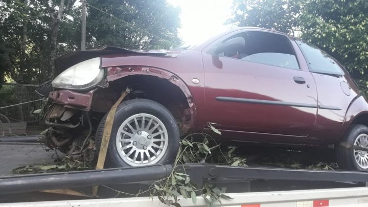 Veículo sai da pista e se choca em árvore na SC-480 no Goio-en