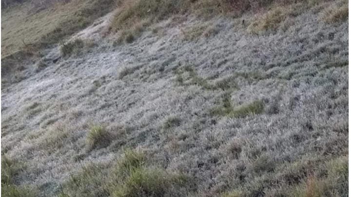 Santa Catarina registra geada no amanhecer deste sábado