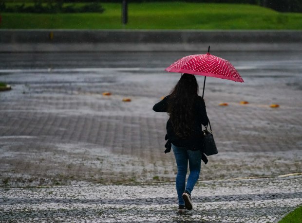 Municípios de Santa Catarina registram recorde de volume de chuva em janeiro