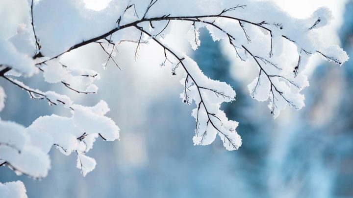 Previsão indica chance de neve em Santa Catarina no próximo fim de semana