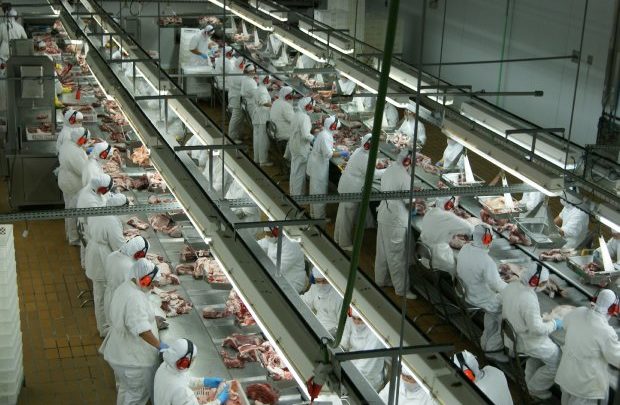 Santa Catarina retoma crescimento nas exportações de carne de frango em maio