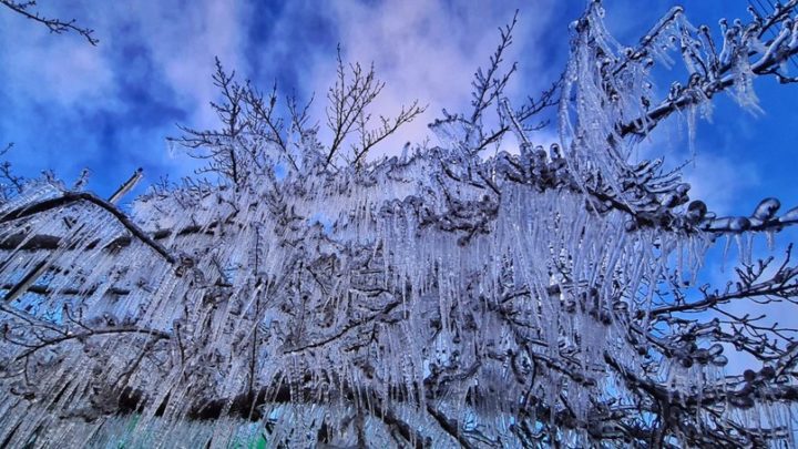 Cidades de SC amanhecem abaixo de -7 °C com a chegada do frio intenso