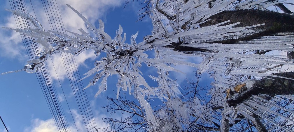 Massa de ar polar traz queda drástica nas temperaturas e pode causar geada em SC