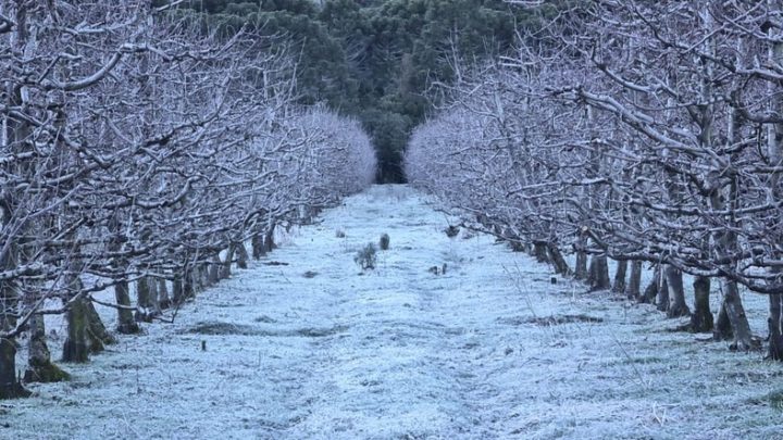 Massa de ar polar chega com chance de neve e mínimas entre -8°C e -10°C em SC