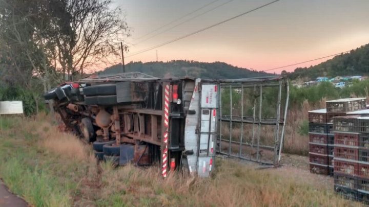 Caminhão carregado de frangos tomba na SC 160 em Modelo