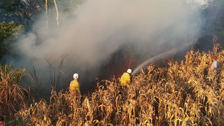 Plantação de milho pega fogo no interior de Quilombo