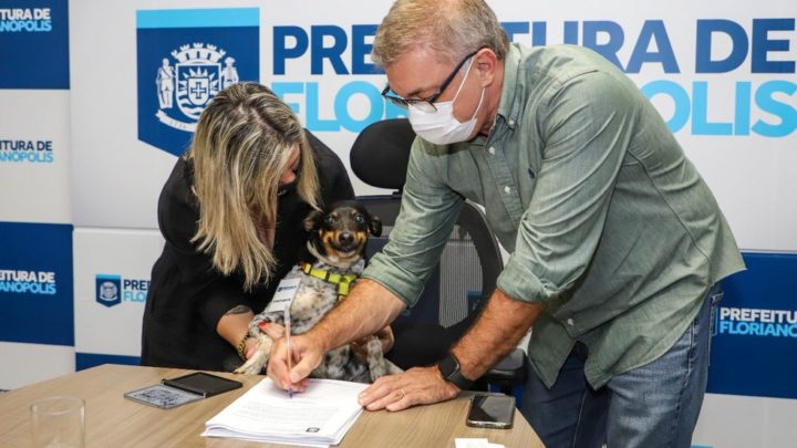 Vídeo: cão assina projeto de lei para tratamento de leishmaniose em SC