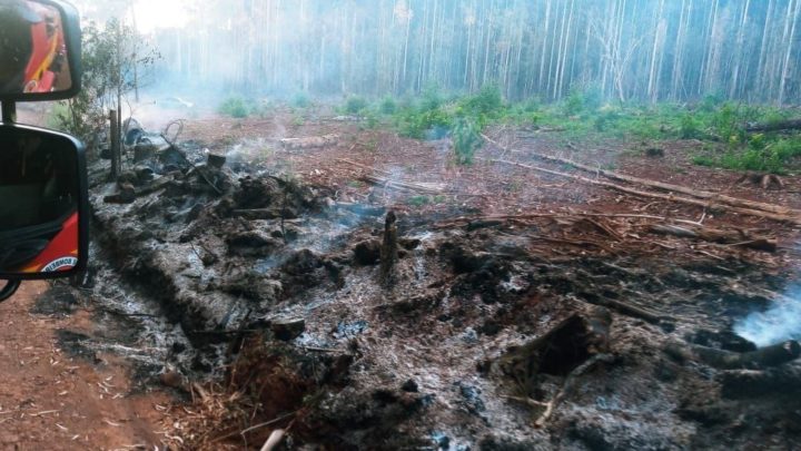 Vídeos: incêndio de grandes proporções é registrado na fazenda Zandavalli