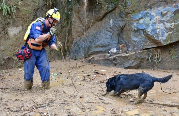 Vídeos: equipe do CBMSC localiza 10 vítimas entre os escombros em Petrópolis