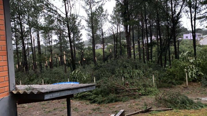 Tornado pode ter atingido Campos Novos, entenda