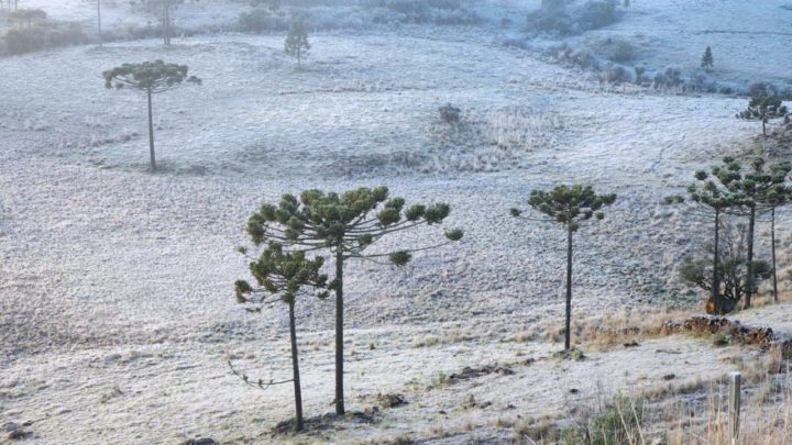 SC tem chance de neve e frio histórico em pleno novembro, diz Epagri/Ciram