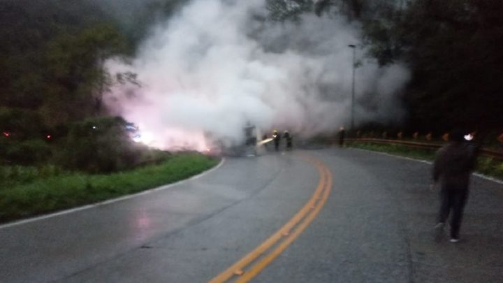 Vídeos: cavalos morrem carbonizados em incêndio de veículo na Serra Dona Francisca