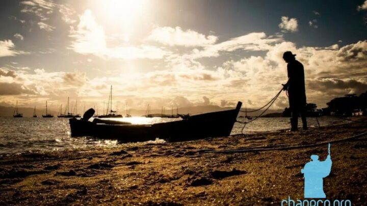 Quarta-feira terá sol no Oeste e nevoeiros isolados em regiões de SC; confira a previsão