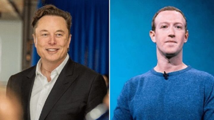 Guerra de gigantes: Elon Musk e Mark Zuckerberg marcam luta em octógono