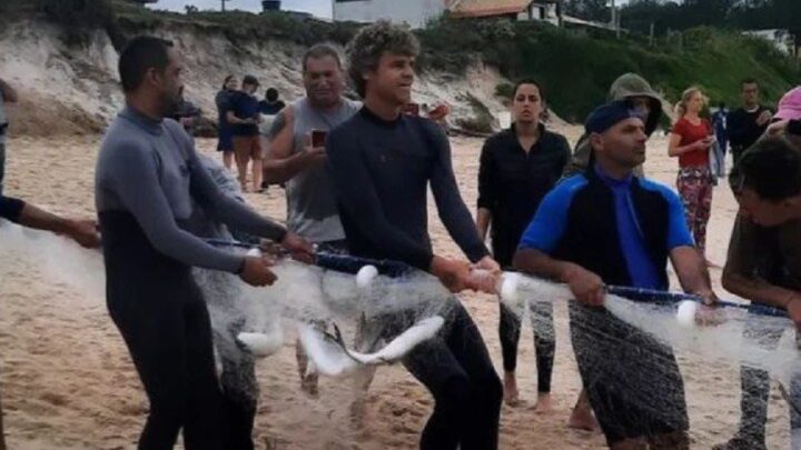 Guga Kuerten ajuda na pesca de tainha e vídeo viraliza: “olha aqui, o Guga”