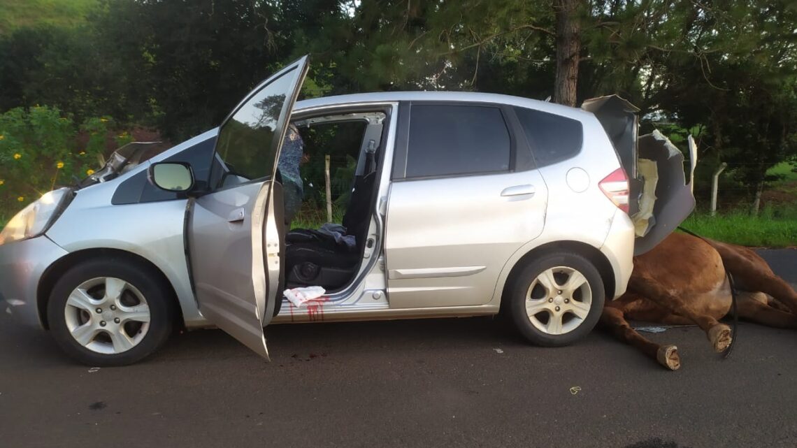 Homens ficam feridos após carro atropelar cavalo no trecho entre Campo Erê e Marmeleiro