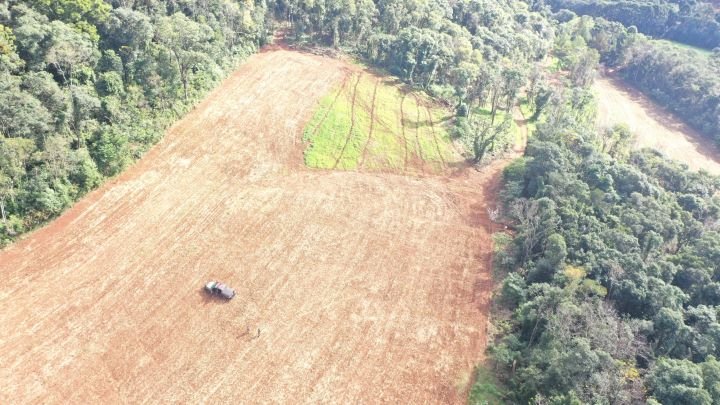 Polícia Militar flagra desmatamento de vegetação nativa em Jaborá