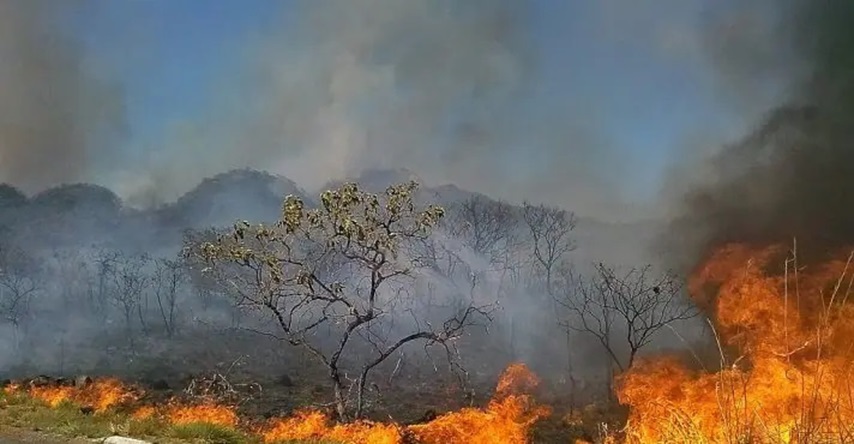 Incêndios no Pantanal e cerrado são os maiores em mais de 30 anos