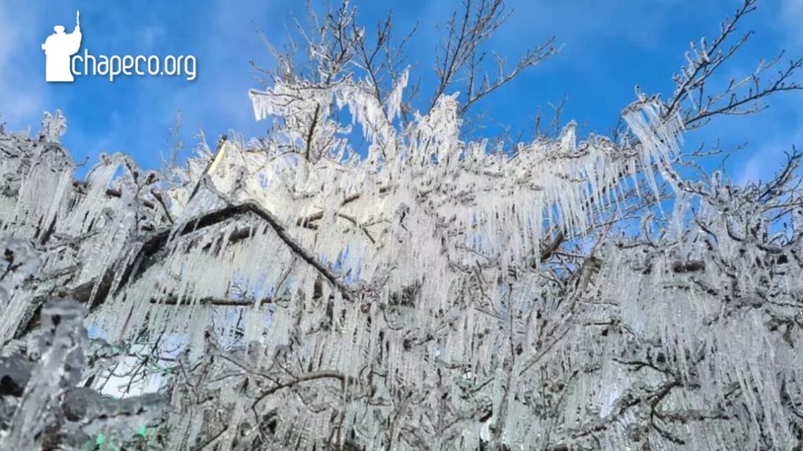 La Niña deve baixar temperaturas globais; confira os impactos previstos para o Brasil