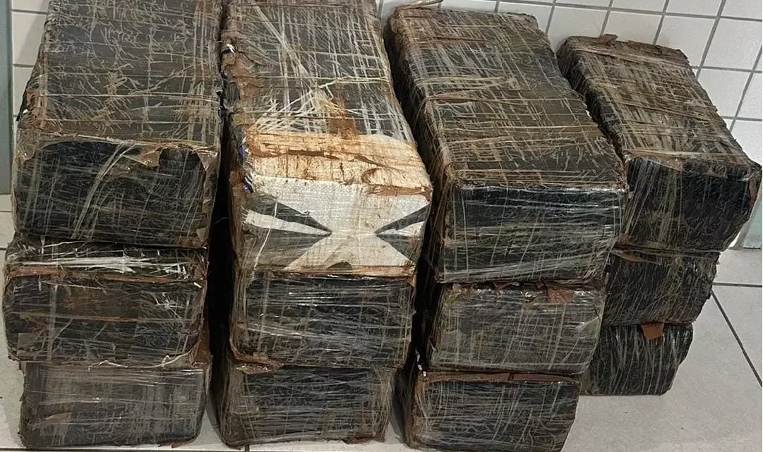 Mais de 200 kg de maconha são apreendidos no Sul de SC