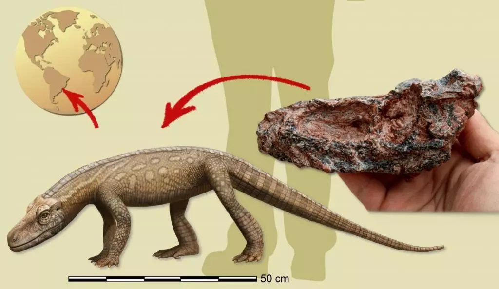 Réptil que viveu antes dos dinossauros é descoberto no Brasil