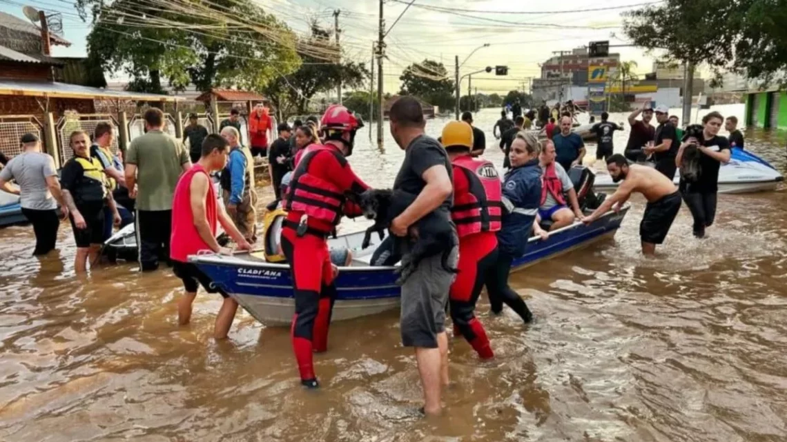 Sobe para 13 o número de mortes por leptospirose no RS