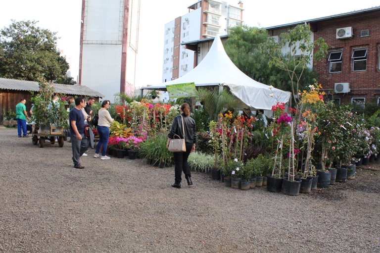 Secretaria de Desenvolvimento Rural promoverá Feira de Mudas em Chapecó