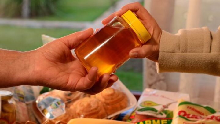 Observatório Agro Catarinense apresenta novos painéis interativos sobre produção de mel e ovos em SC