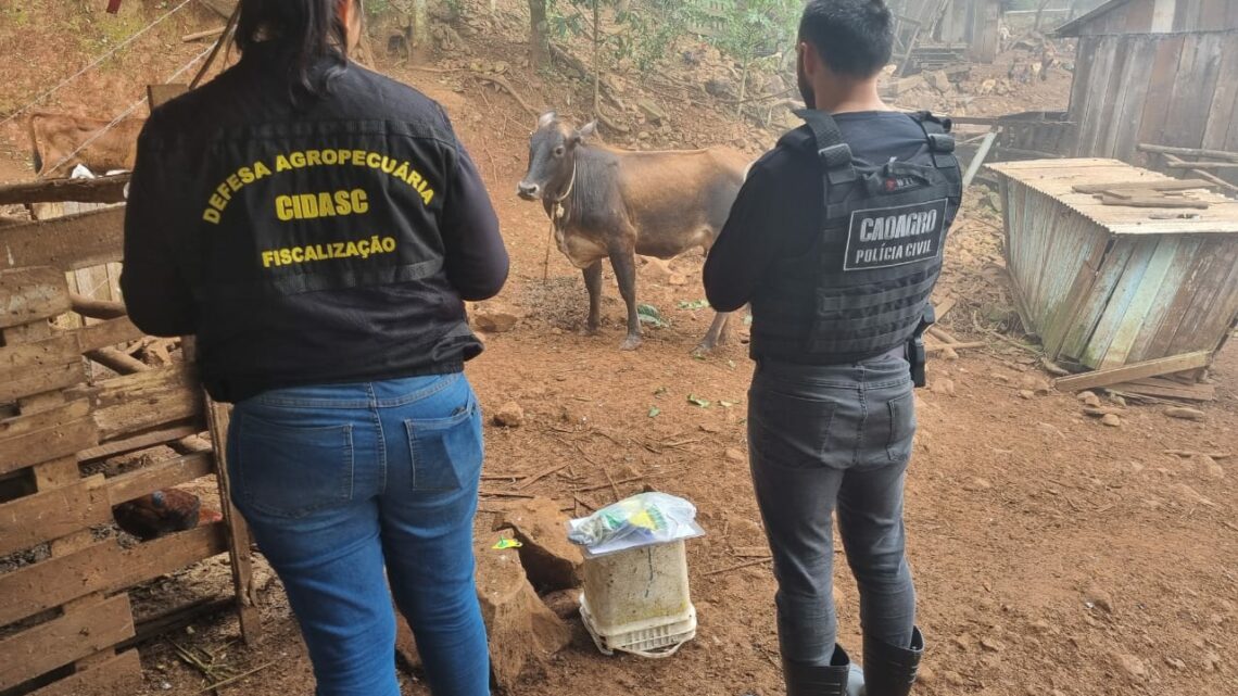 Fiscalização em propriedade rural identifica diversas irregularidades no Oeste