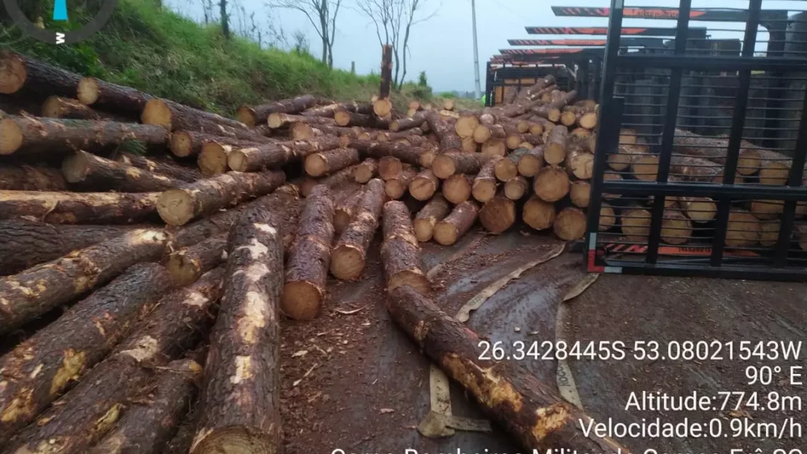 Caminhão de toras capota e bloqueia o trânsito em Marmeleiro