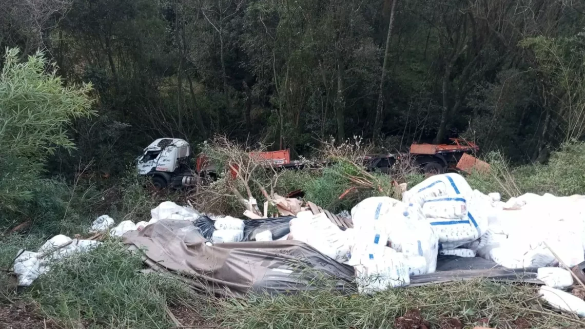 Motorista pula de caminhão desgovernado antes de capotar em ribanceira na BR-282