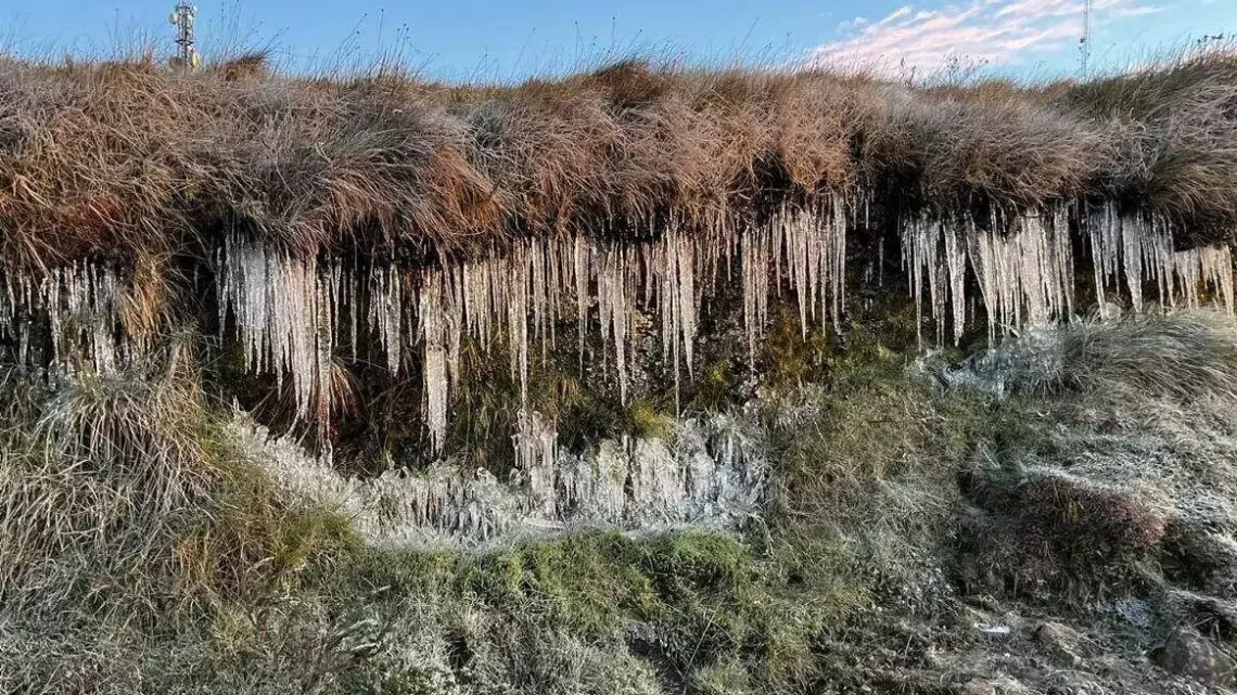 Urupema amanhece com -7,2°C no Morro das Antenas e cenário de cristais de gelo; veja fotos