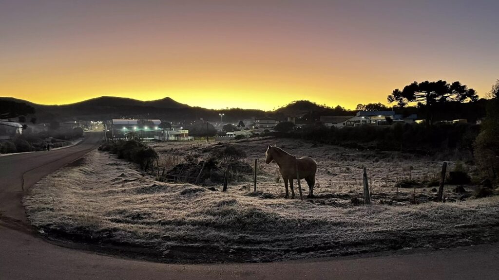 Quarto dia de frio intenso: geada “pinta de branco” paisagem na Serra Catarinense